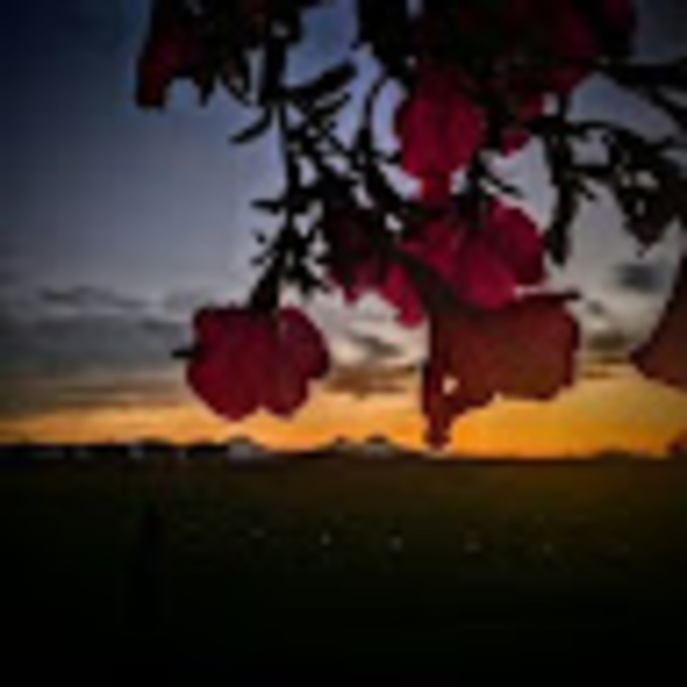 Meet your Posher, Ellie